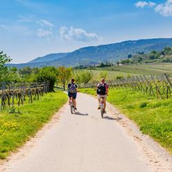 Sankt Martin 41 hot&eacute;is com estacionamento