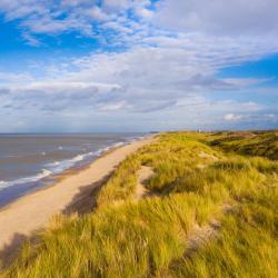 Bredene 126 beach hotels