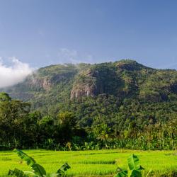 Shimoga 29 hotels