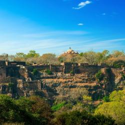 Sawāi Mādhopur 17 luxury hotels