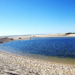 Melides Paplūdimio vie&scaron;bučiai (3)