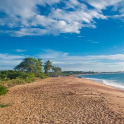 Hambantota 3 luxury tents
