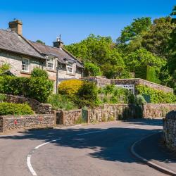 Ashford 63 cheap hotels