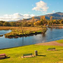 Callander 19 of the cottages