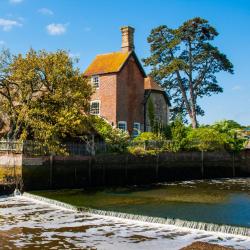 Brockenhurst 44 Hotels mit Parkplatz