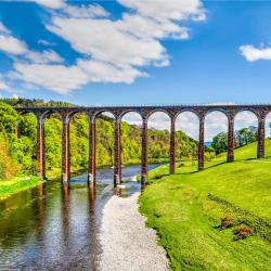 Melrose 44 acomoda&ccedil;&otilde;es