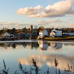 Woodbridge 50 pet-friendly hotels