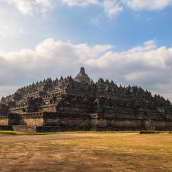 마겔랑 반려동물 동반 가능 호텔 3개