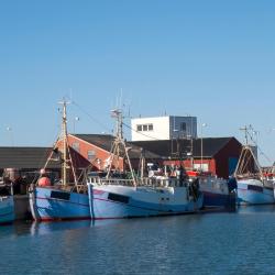 Hirtshals