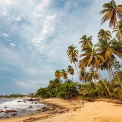 Kribi