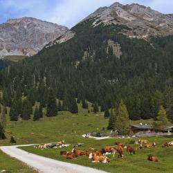 Leutasch 3 hoster&iacute;as