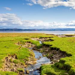 Grange-over-Sands 71 hoteli przyjaznych zwierzętom