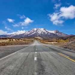 Ohakune 8 B&Bs