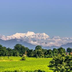 Sauraha 92 hotels with parking