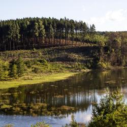 Magoebaskloof 7 hotels with parking