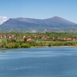 Rtanj 8 pet-friendly hotels