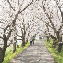 Kurume 42 hotels with parking
