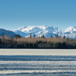 Courtenay 4 4-star hotels