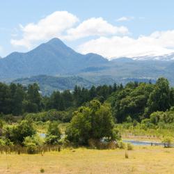 Coñaripe 4 homestay