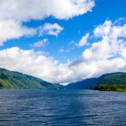 Panguipulli 4 homestay