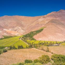 Pisco Elqui 29 konaklama birimi