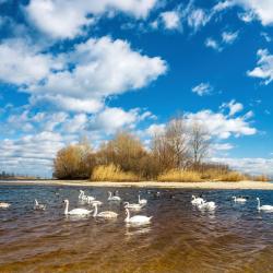 Cherkasy 8 sobre los hoteles con piscina