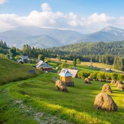 Iablunîțea