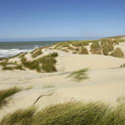 Stella-Plage 45 hotels