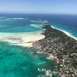 Harbour Island 3 pet-friendly hotels