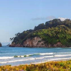 Whangamata 43 holiday rentals