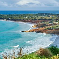 Anglesea 25 pet-friendly hotels
