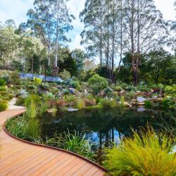 Dandenong 15 hotels with parking