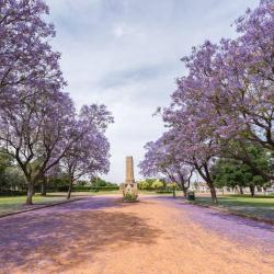 Grafton 6 pet-friendly hotels