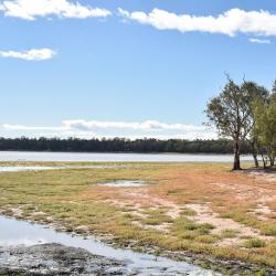 Narrabri 21 hotels with parking