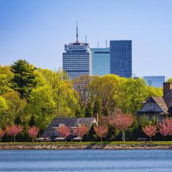 Brookline 23 pet-friendly hotels