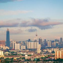 Ampang 3 kis&aacute;llatbar&aacute;t sz&aacute;ll&aacute;s