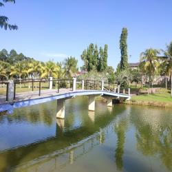 Pasir Gudang 56 hotels