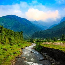 Chitwan