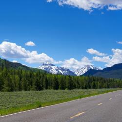 Evanston 12 otoparklı otel