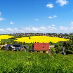 伊爾梅瑙 47 間公寓