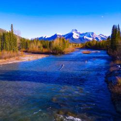 Kananaskis Village 3 glampingpladser