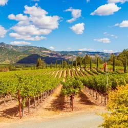 Calistoga 17 kh&aacute;ch sạn c&oacute; hồ bơi