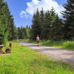 Masserberg 7 casas de f&eacute;rias