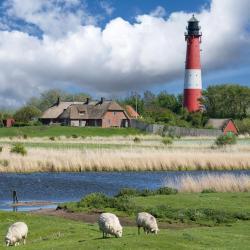 Pelvorm 185 overnatningssteder