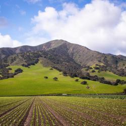 샐리나스 반려동물 동반 가능 호텔 6개
