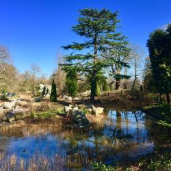 Crystal Palace 10 hotels with parking