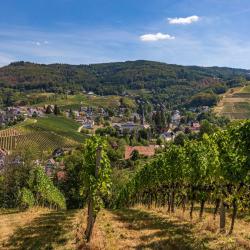 Sasbachwalden 4 guest houses