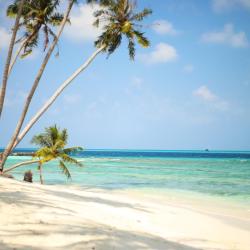 Үлкен транни Порно порно бдсм пирсинг