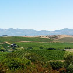 Yountville 7 family hotels