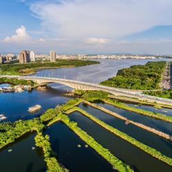 Anping 7 hotels